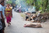 Das arme Schwein wartet noch und blickt gleich sehnsüchtig in die Kamera, rette mich ...